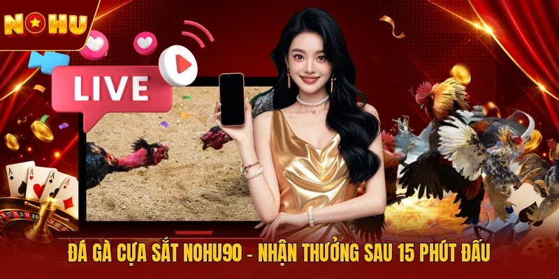 Đá gà cựa sắt NOHU90