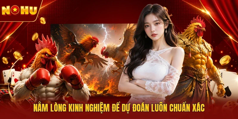 Nằm lòng kinh nghiệm để dự đoán luôn chuẩn xác