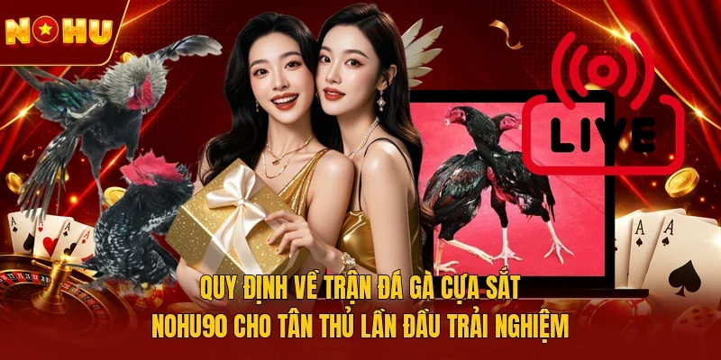 Quy định về trận đá gà cựa sắt NOHU90 cho tân thủ lần đầu trải nghiệm