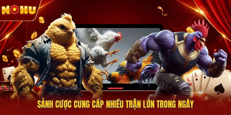 Sảnh cược cung cấp nhiều trận lớn trong ngày