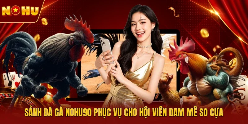 Sảnh đá gà NOHU90 phục vụ cho hội viên đam mê so cựa